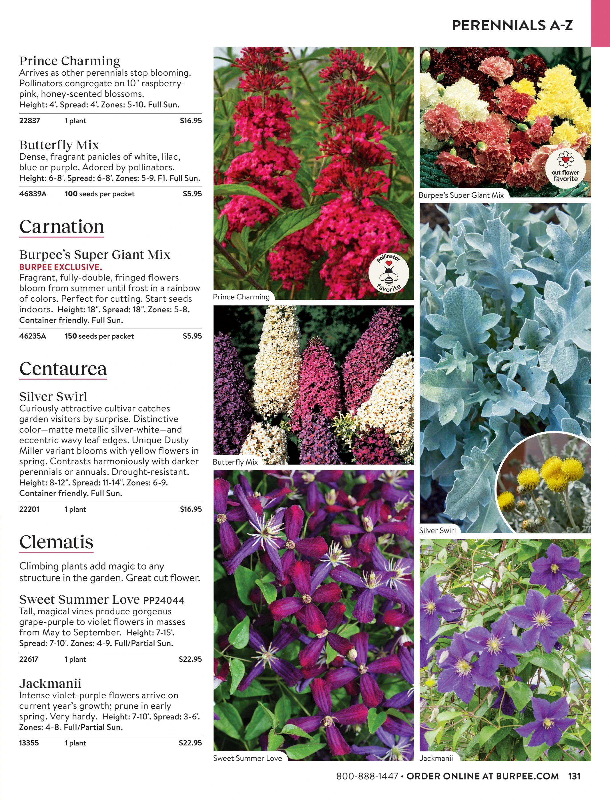 Burpee flyer page 131