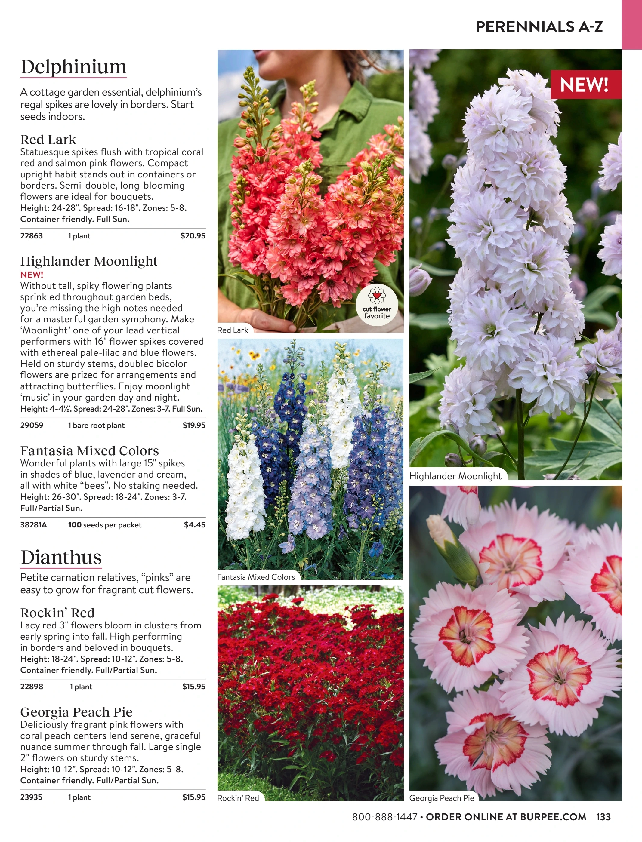 Burpee flyer page 133