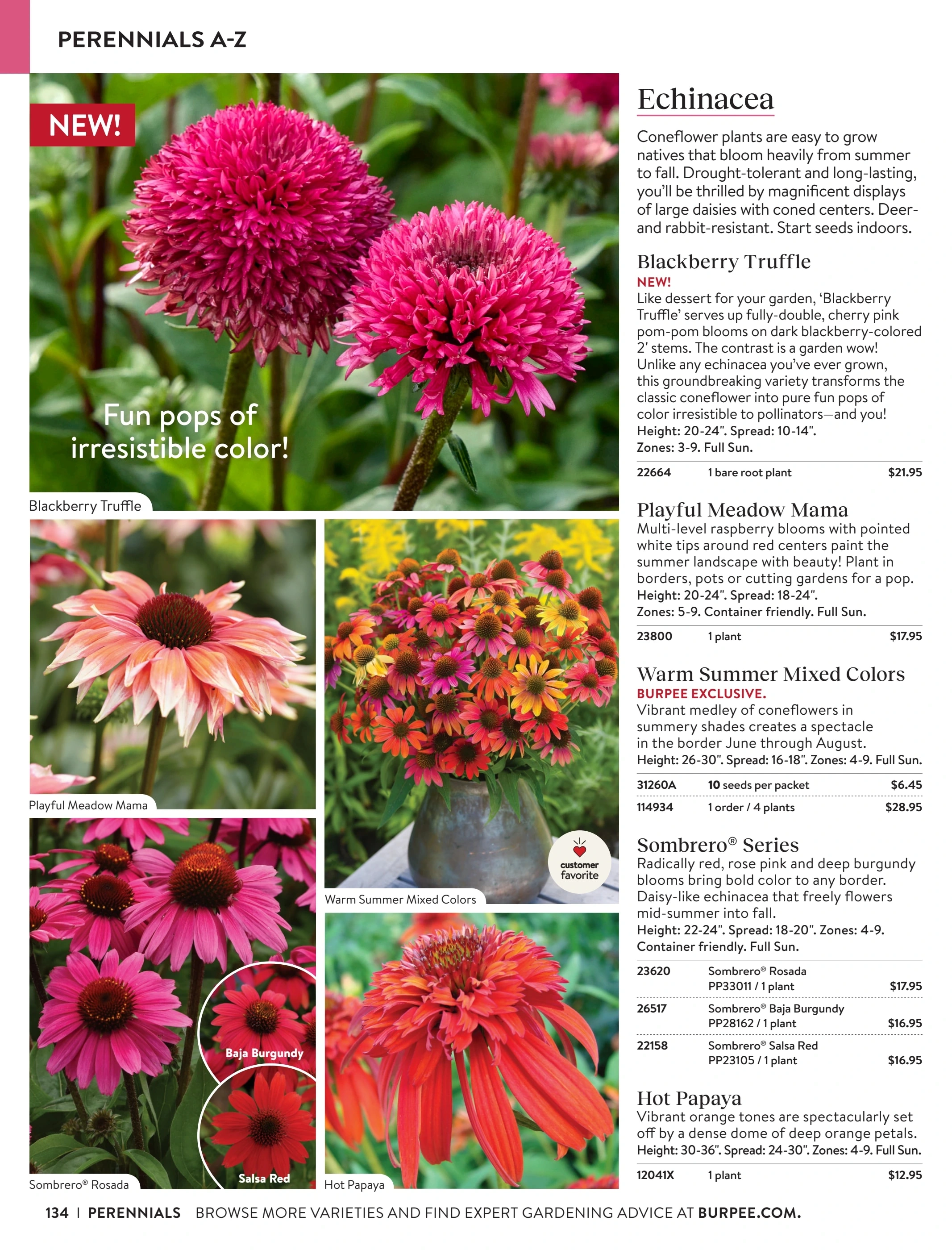 Burpee flyer page 134