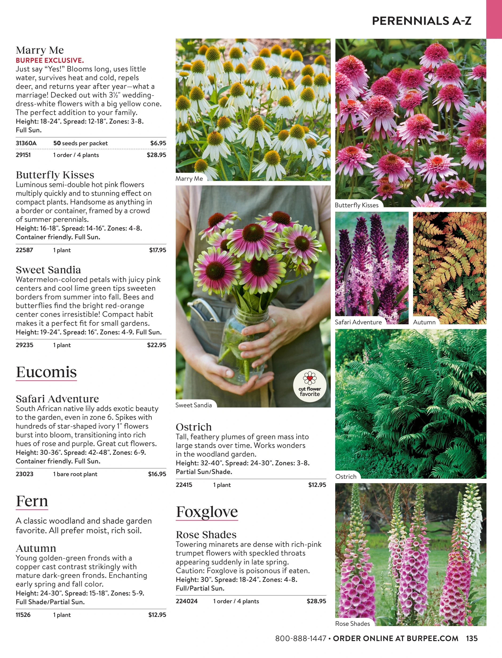 Burpee flyer page 135