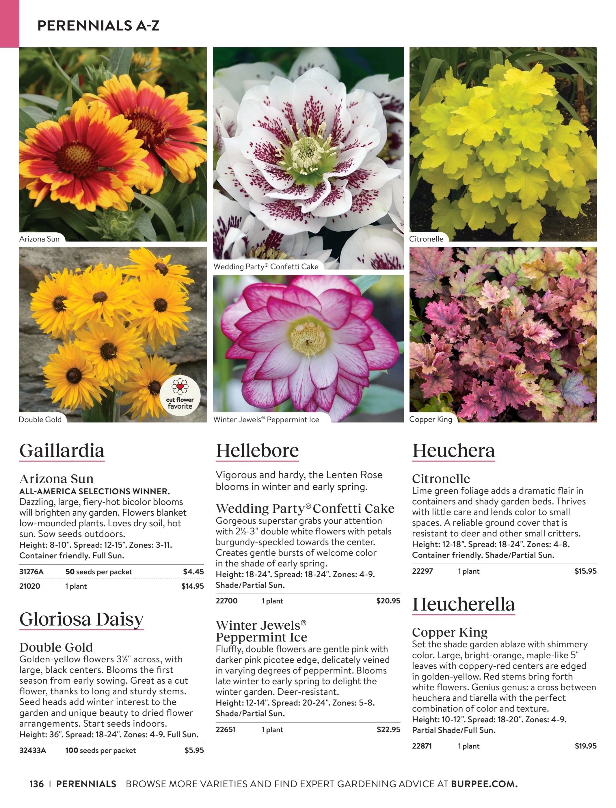 Burpee flyer page 136