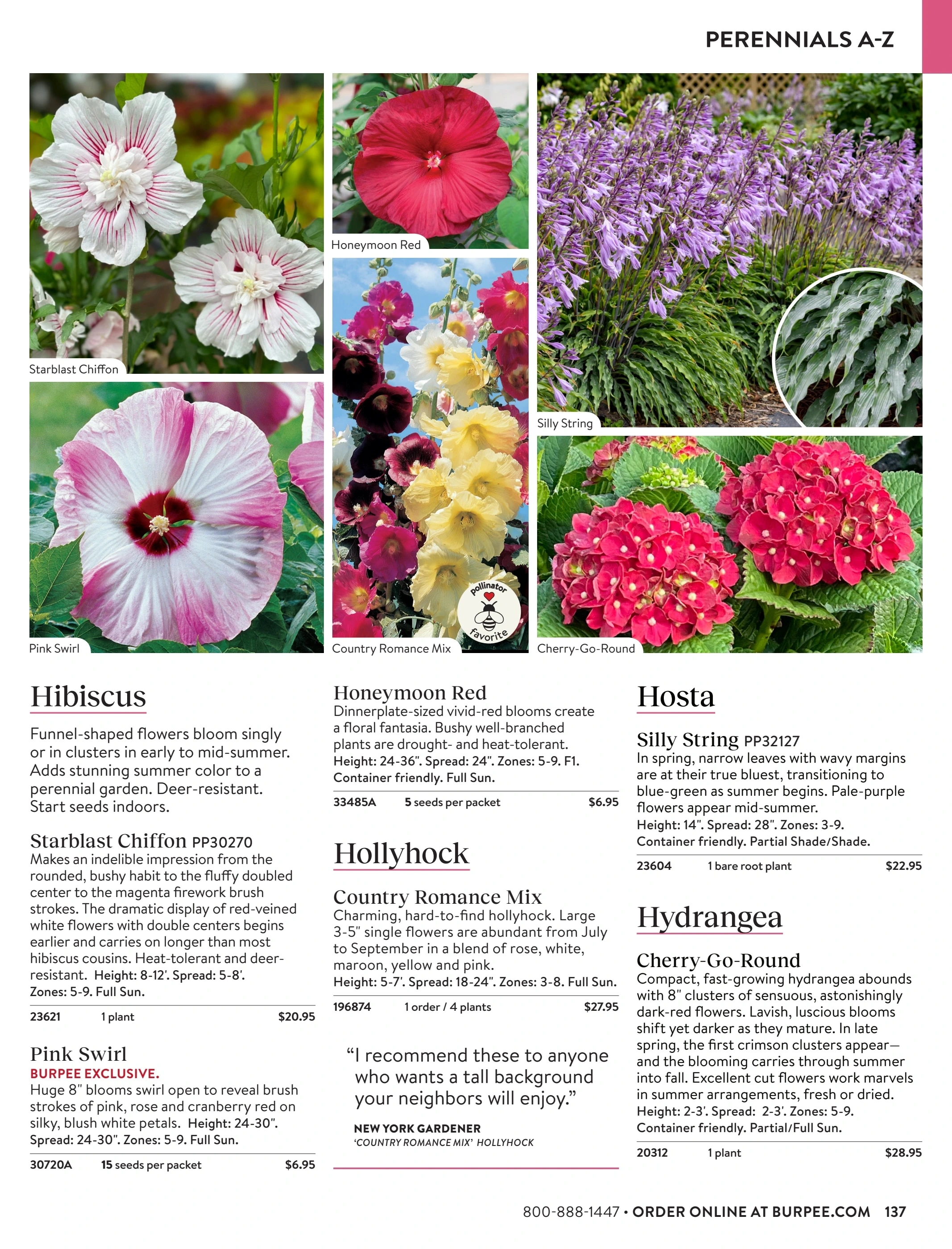Burpee flyer page 137
