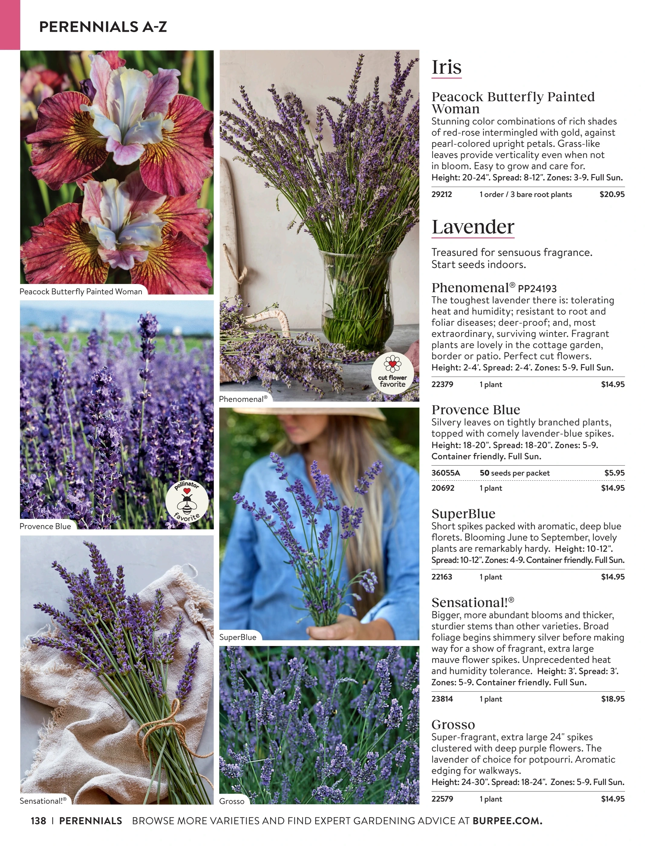 Burpee flyer page 138