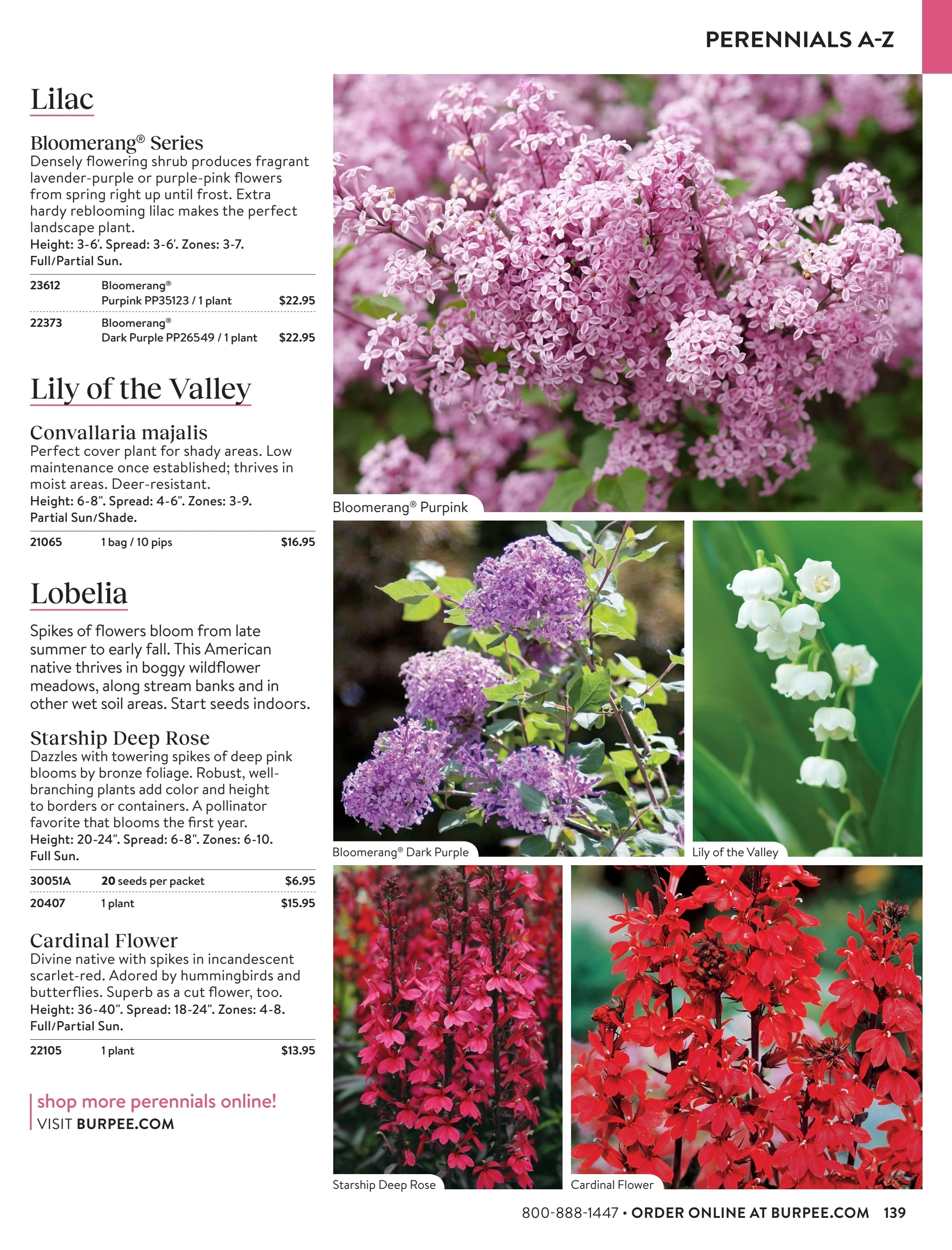 Burpee flyer page 139