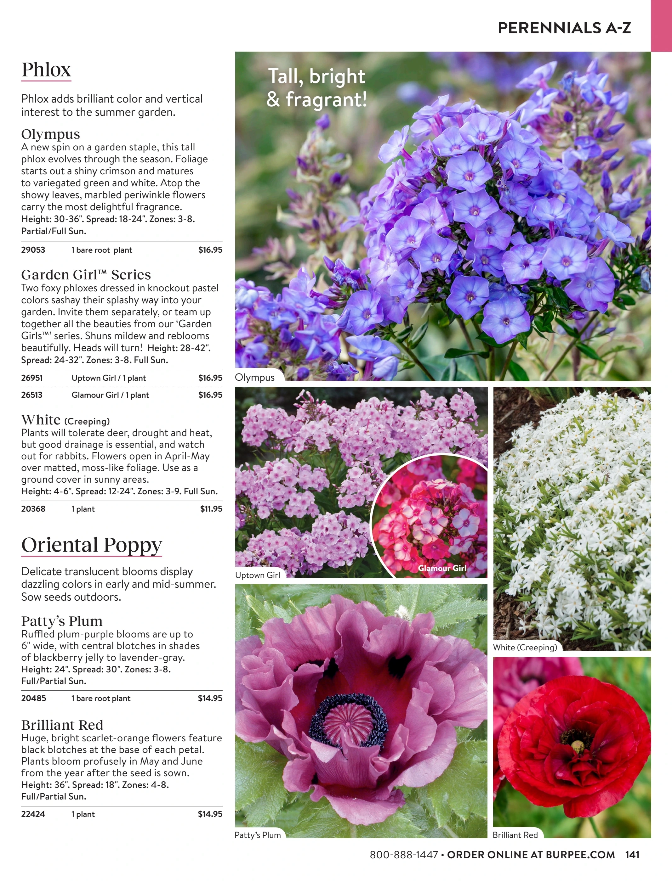 Burpee flyer page 141