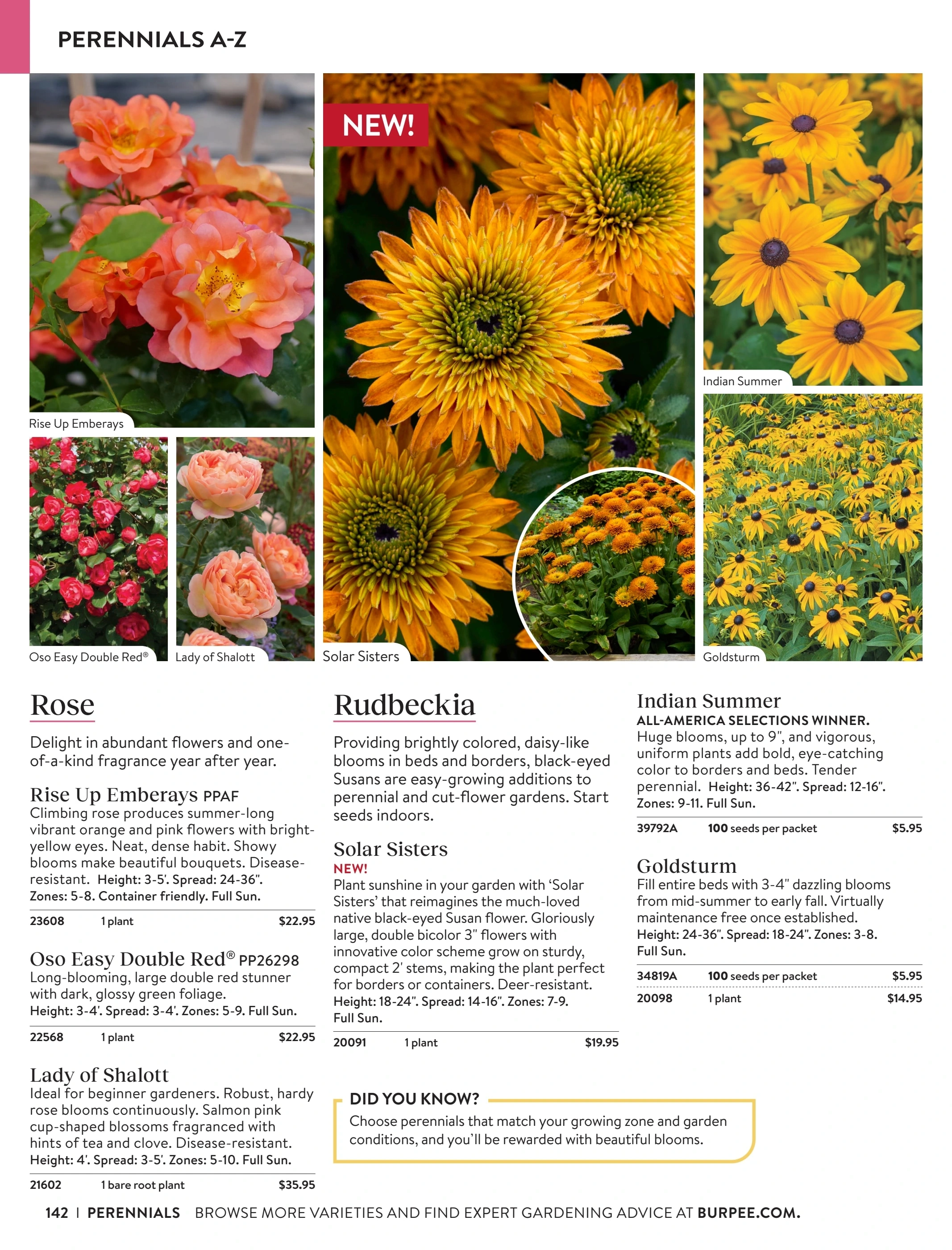 Burpee flyer page 142