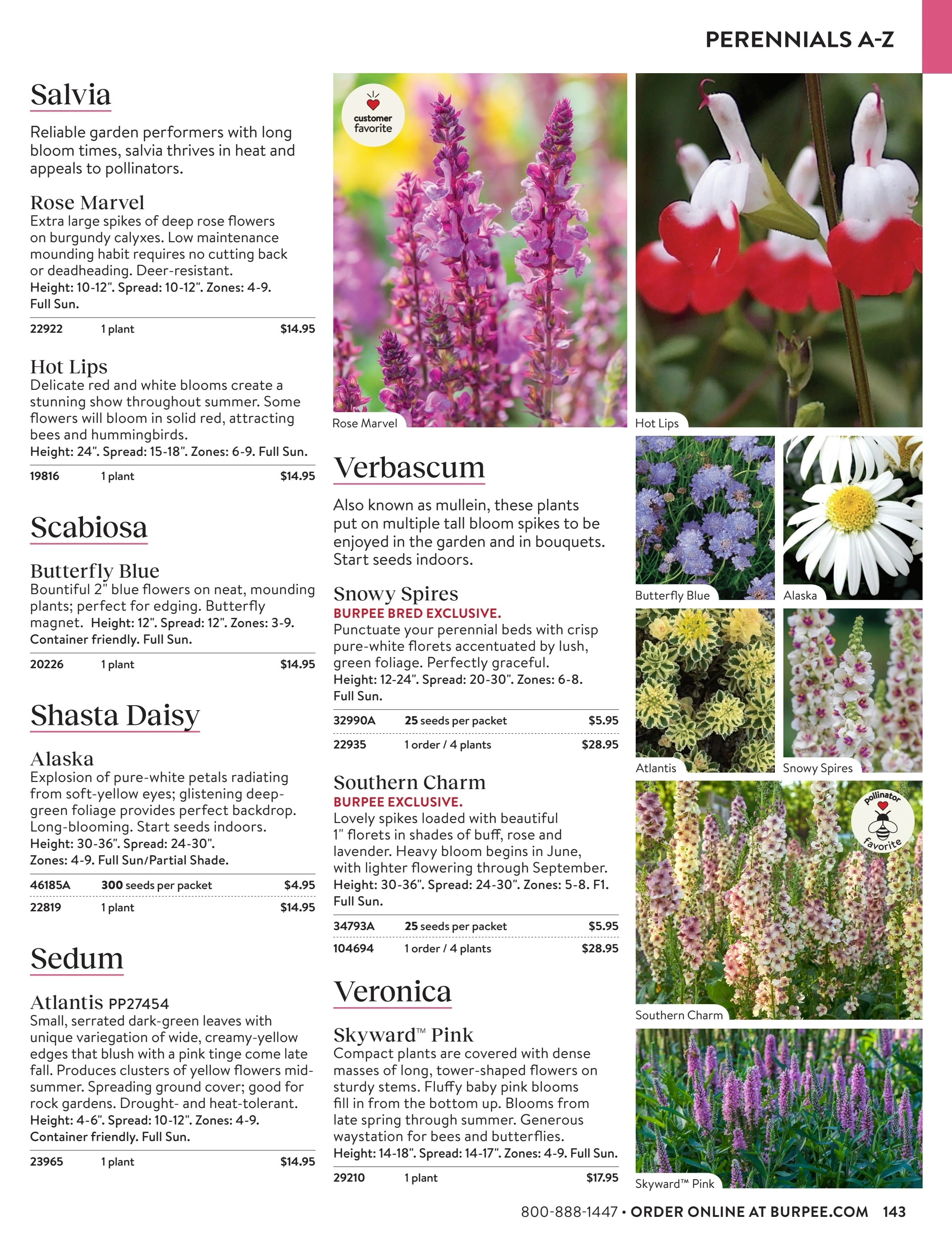 Burpee flyer page 143