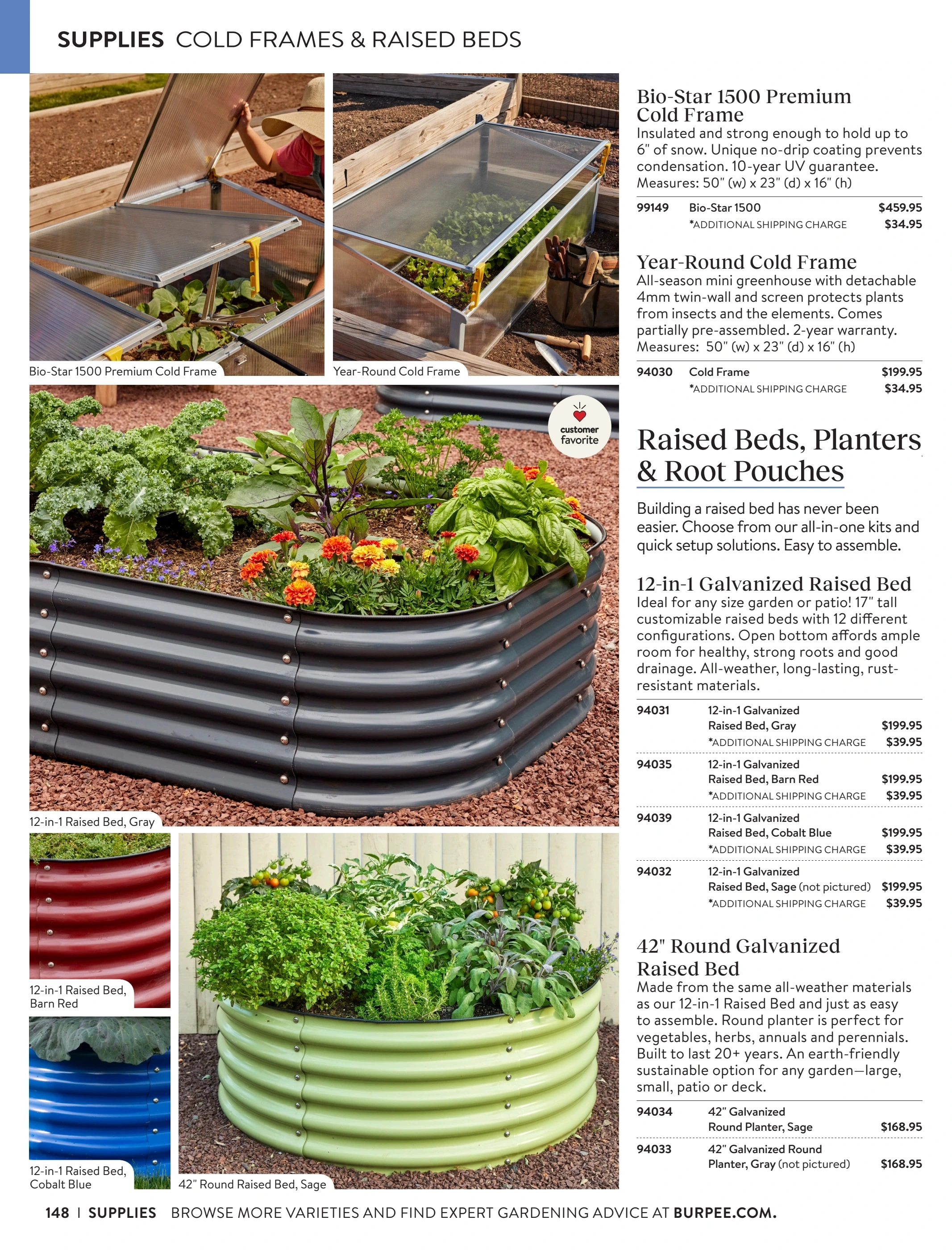 Burpee flyer page 148