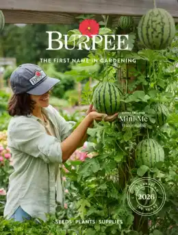 Burpee Annual Seed Catalog Weekly Ad