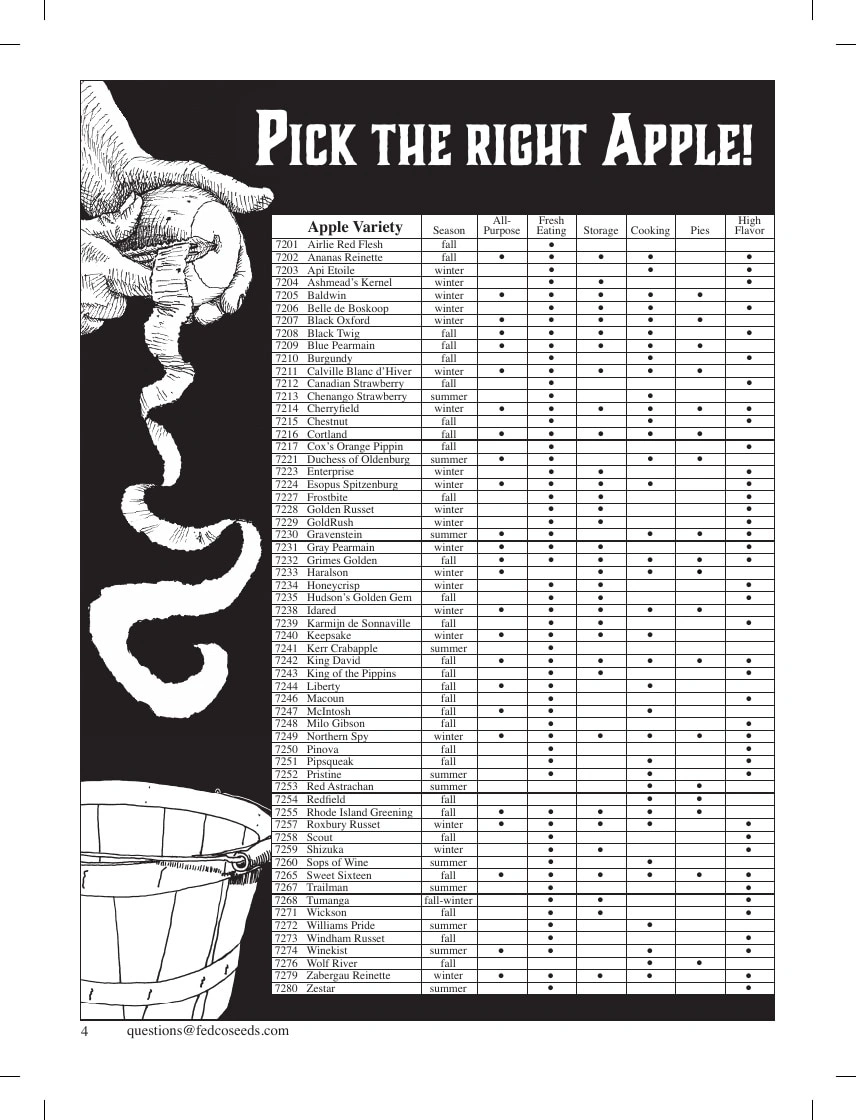 Fedco Seeds flyer page 4