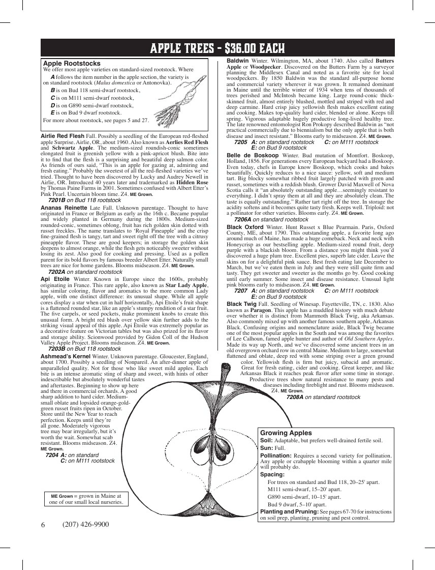 Fedco Seeds flyer page 6