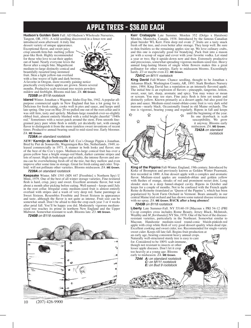 Fedco Seeds flyer page 10
