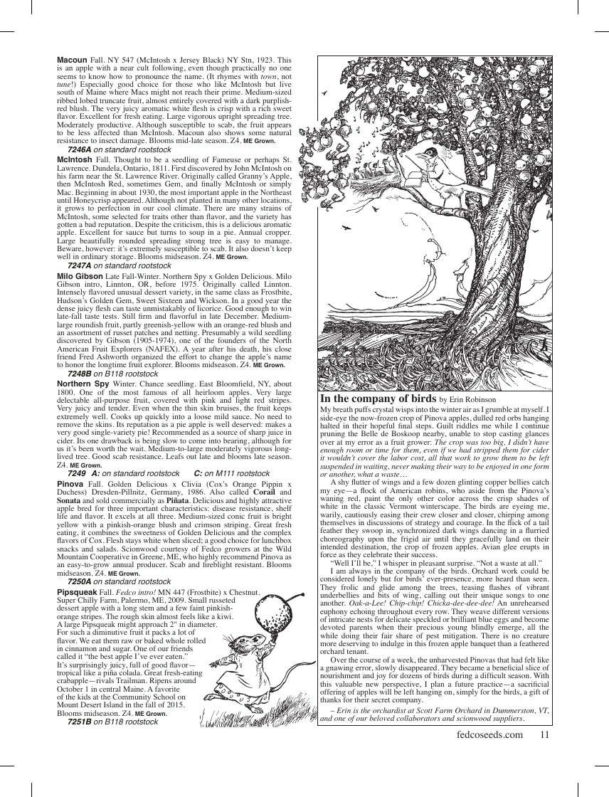 Fedco Seeds flyer page 11