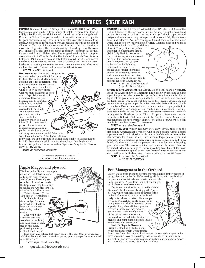 Fedco Seeds flyer page 12