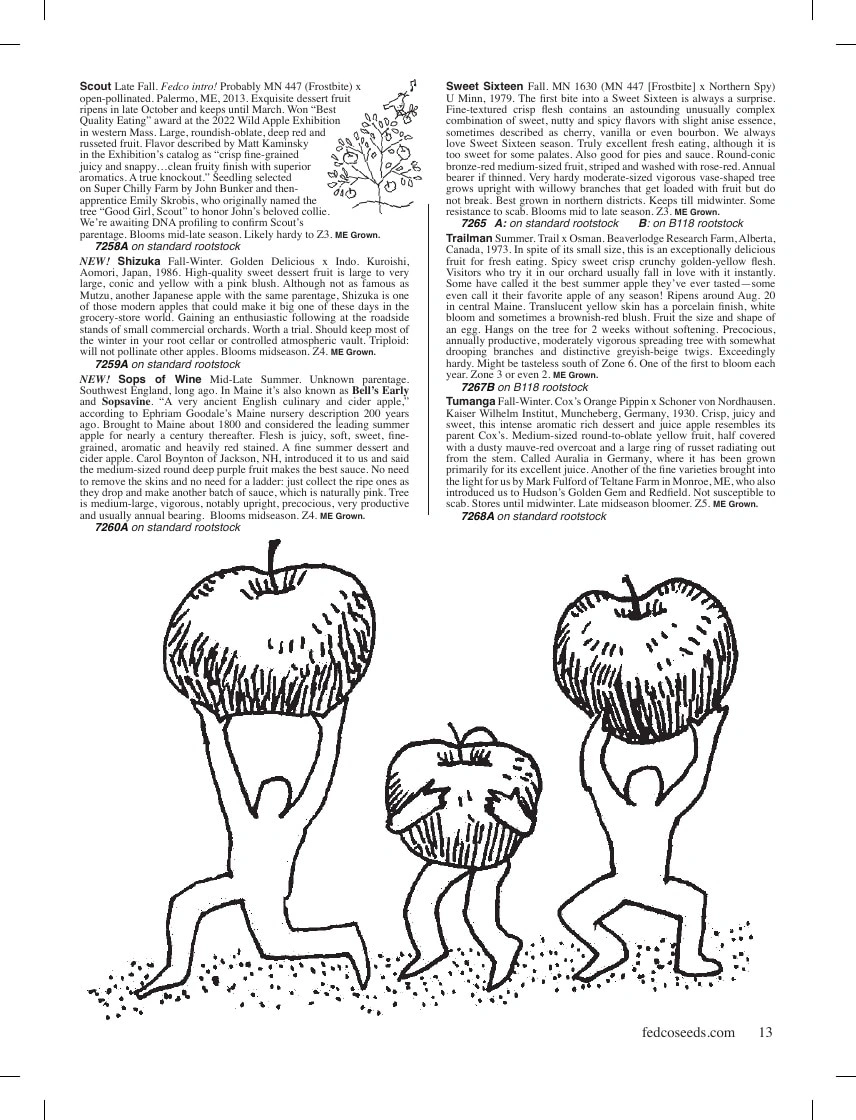 Fedco Seeds flyer page 13