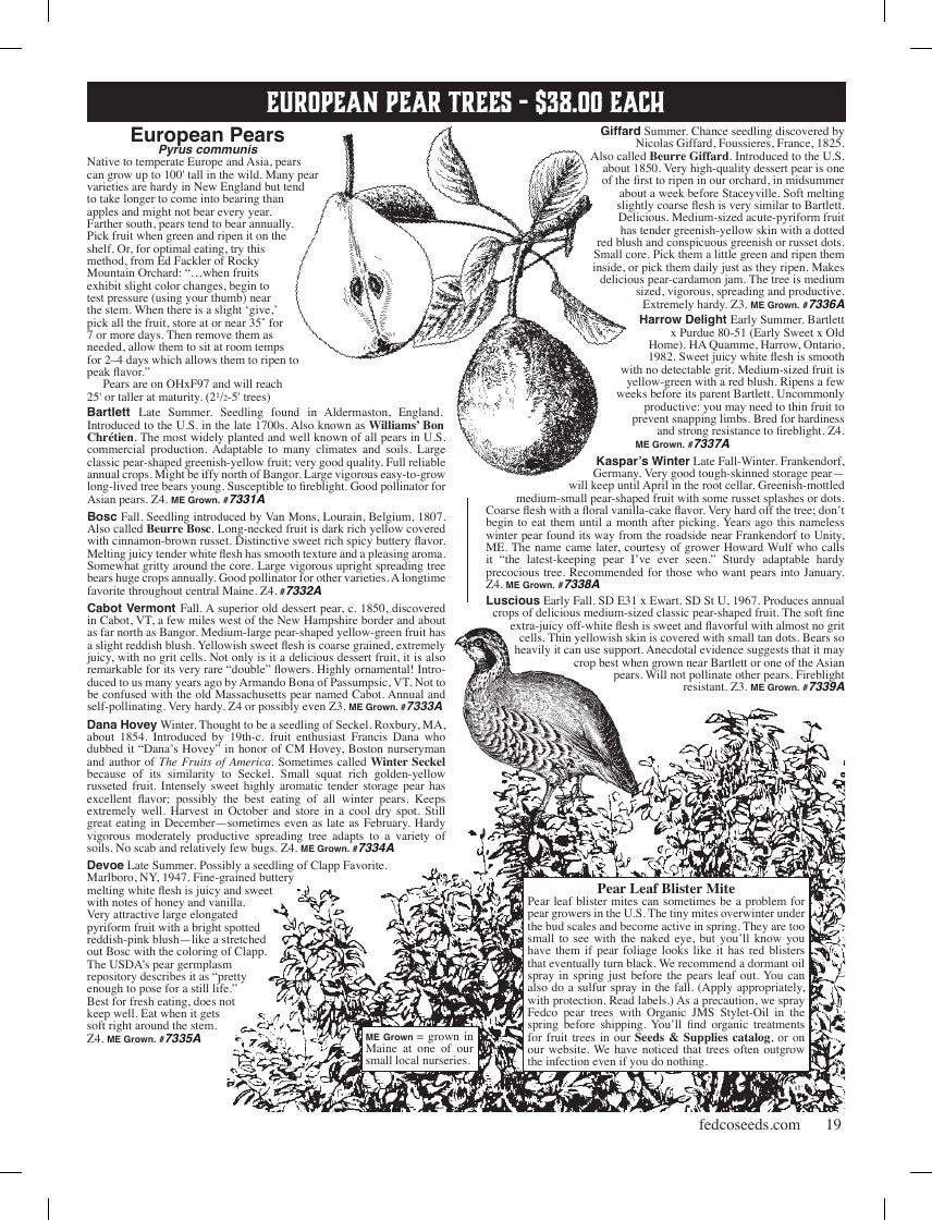 Fedco Seeds flyer page 19