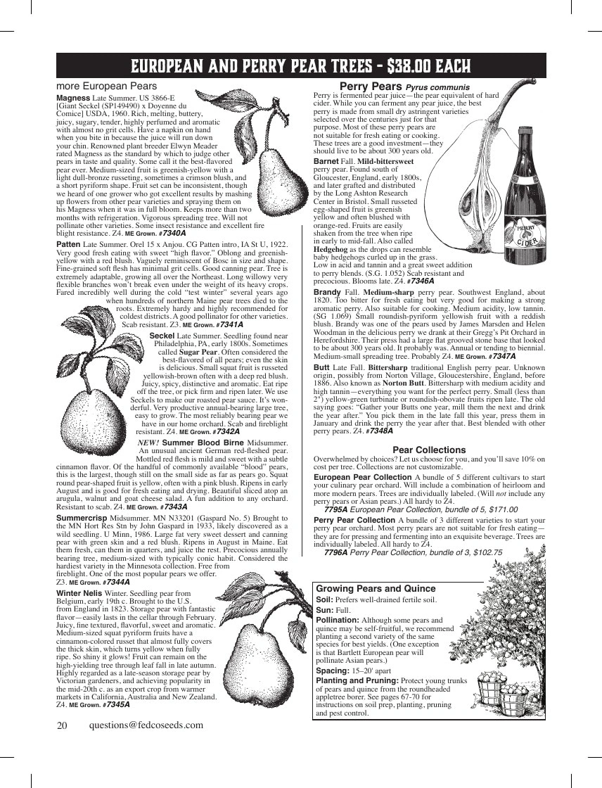 Fedco Seeds flyer page 20