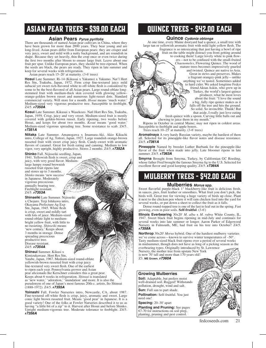 Fedco Seeds flyer page 21