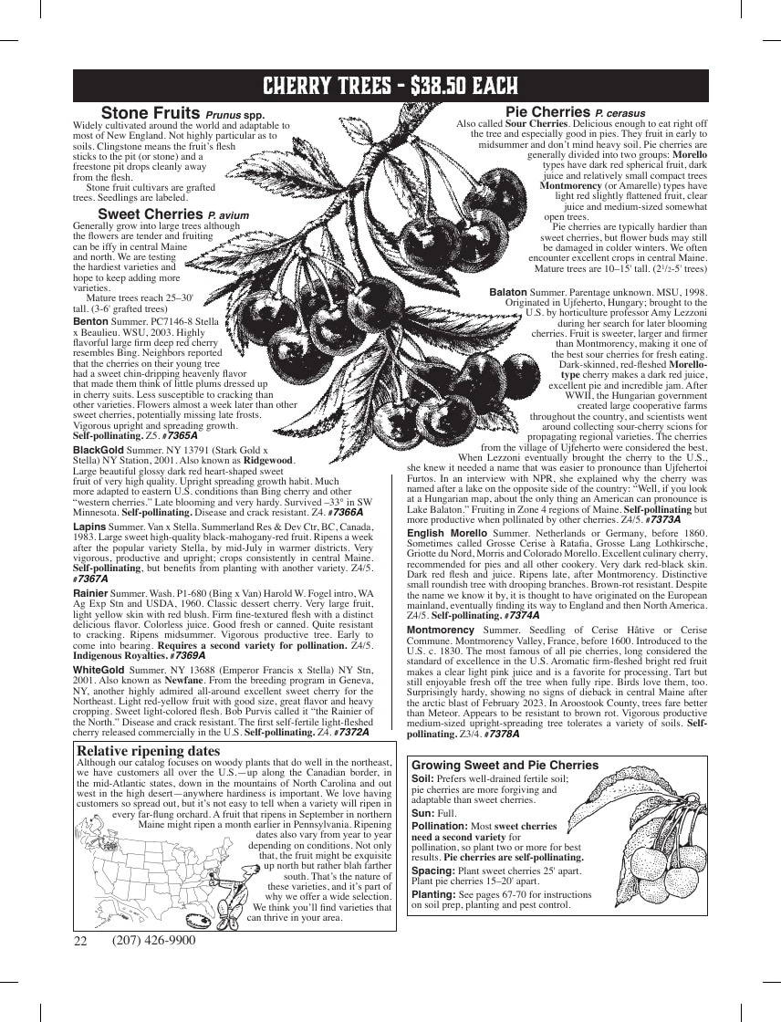 Fedco Seeds flyer page 22
