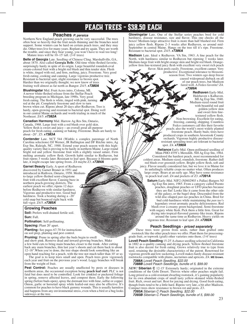 Fedco Seeds flyer page 23