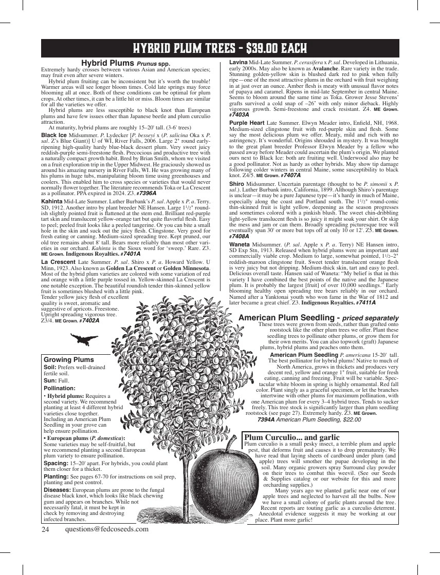 Fedco Seeds flyer page 24