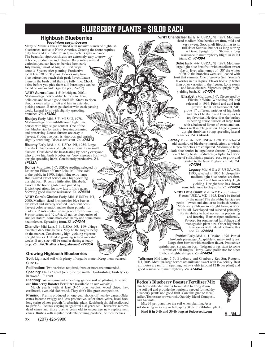 Fedco Seeds flyer page 28