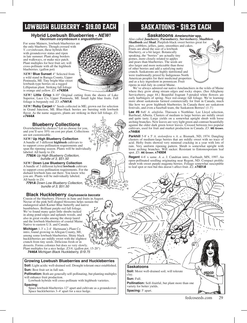 Fedco Seeds flyer page 29