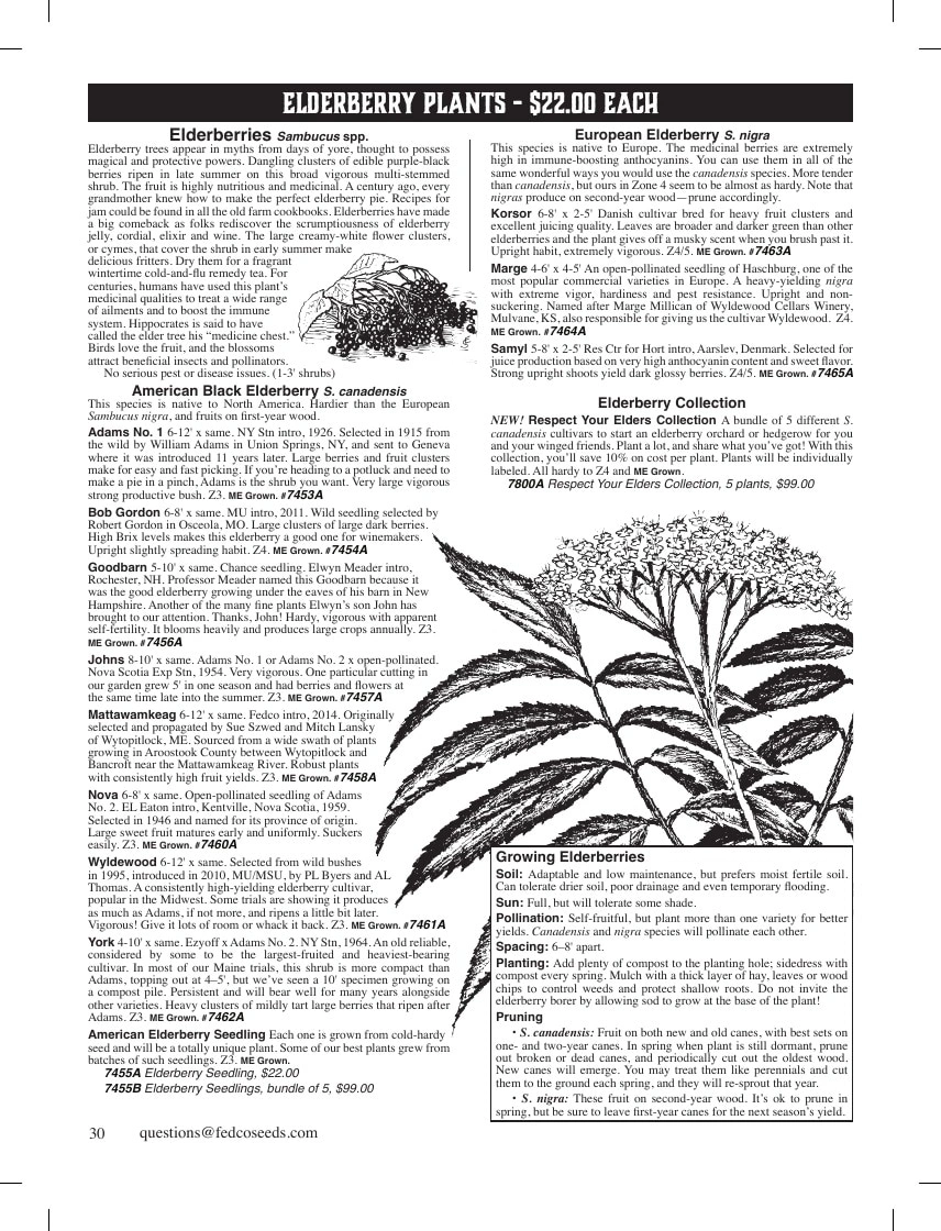 Fedco Seeds flyer page 30
