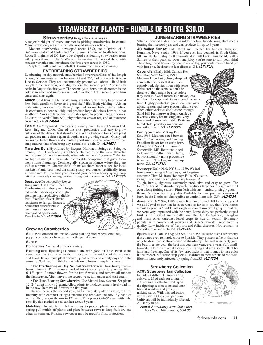 Fedco Seeds flyer page 31