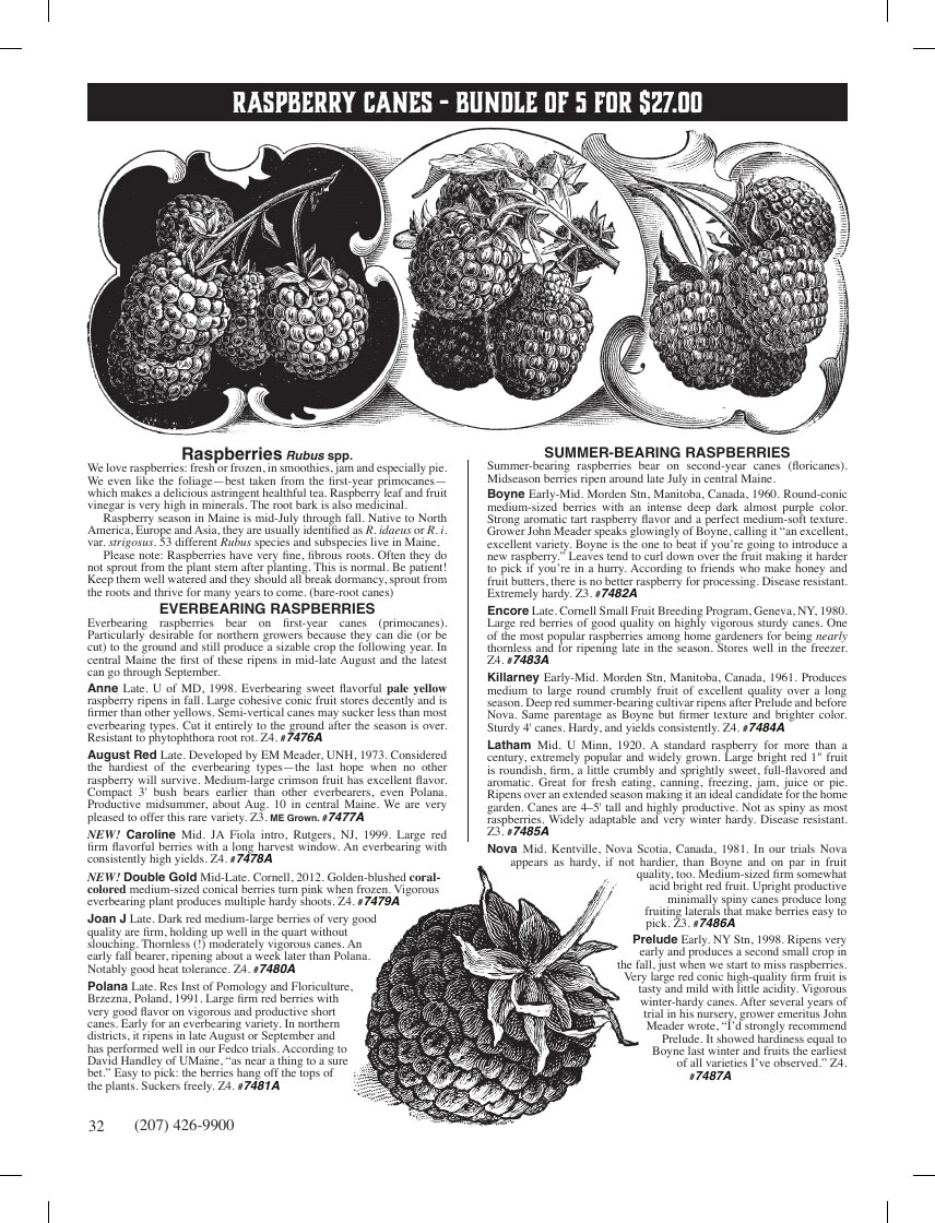 Fedco Seeds flyer page 32