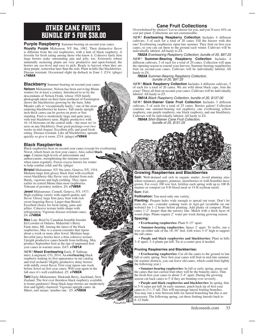 Fedco Seeds flyer page 33