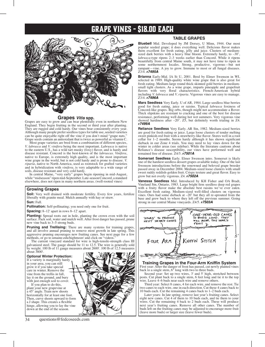 Fedco Seeds flyer page 34
