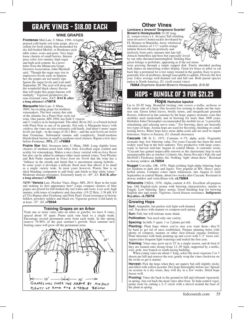 Fedco Seeds flyer page 35