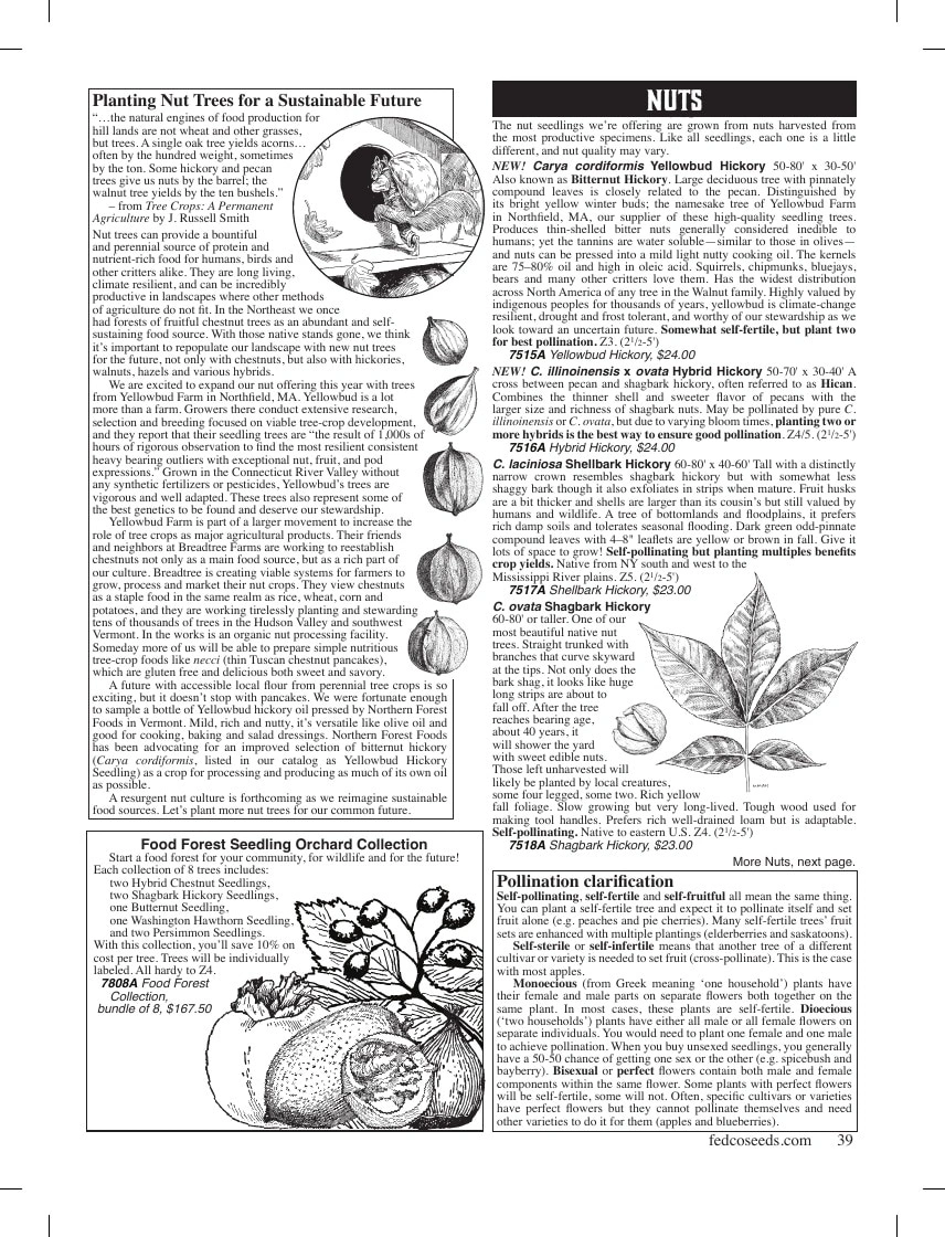 Fedco Seeds flyer page 39