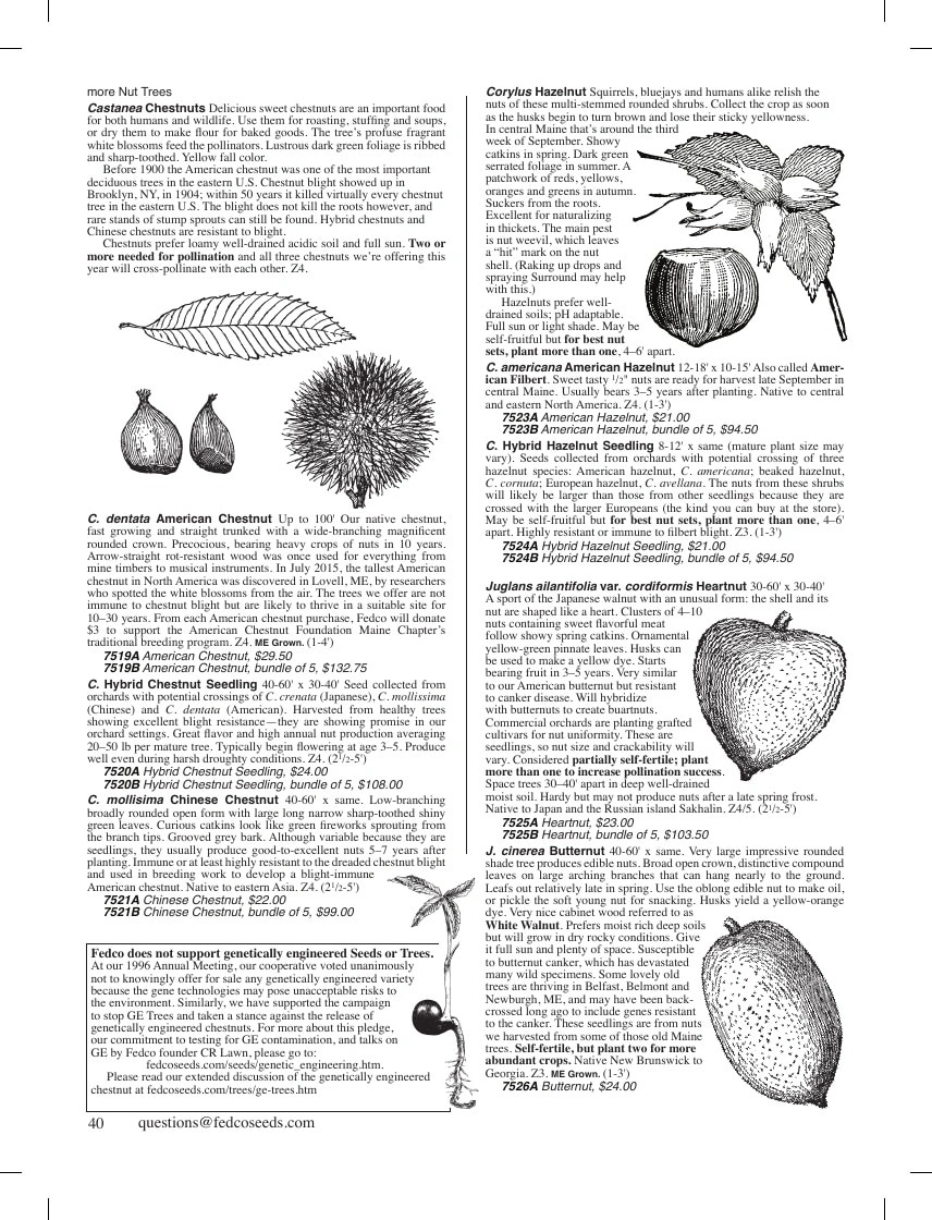 Fedco Seeds flyer page 40