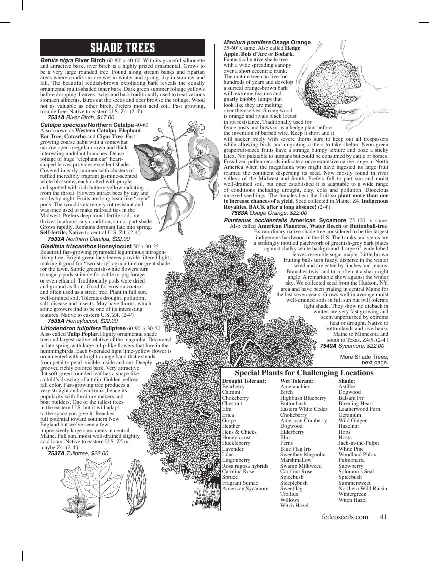 Fedco Seeds flyer page 41