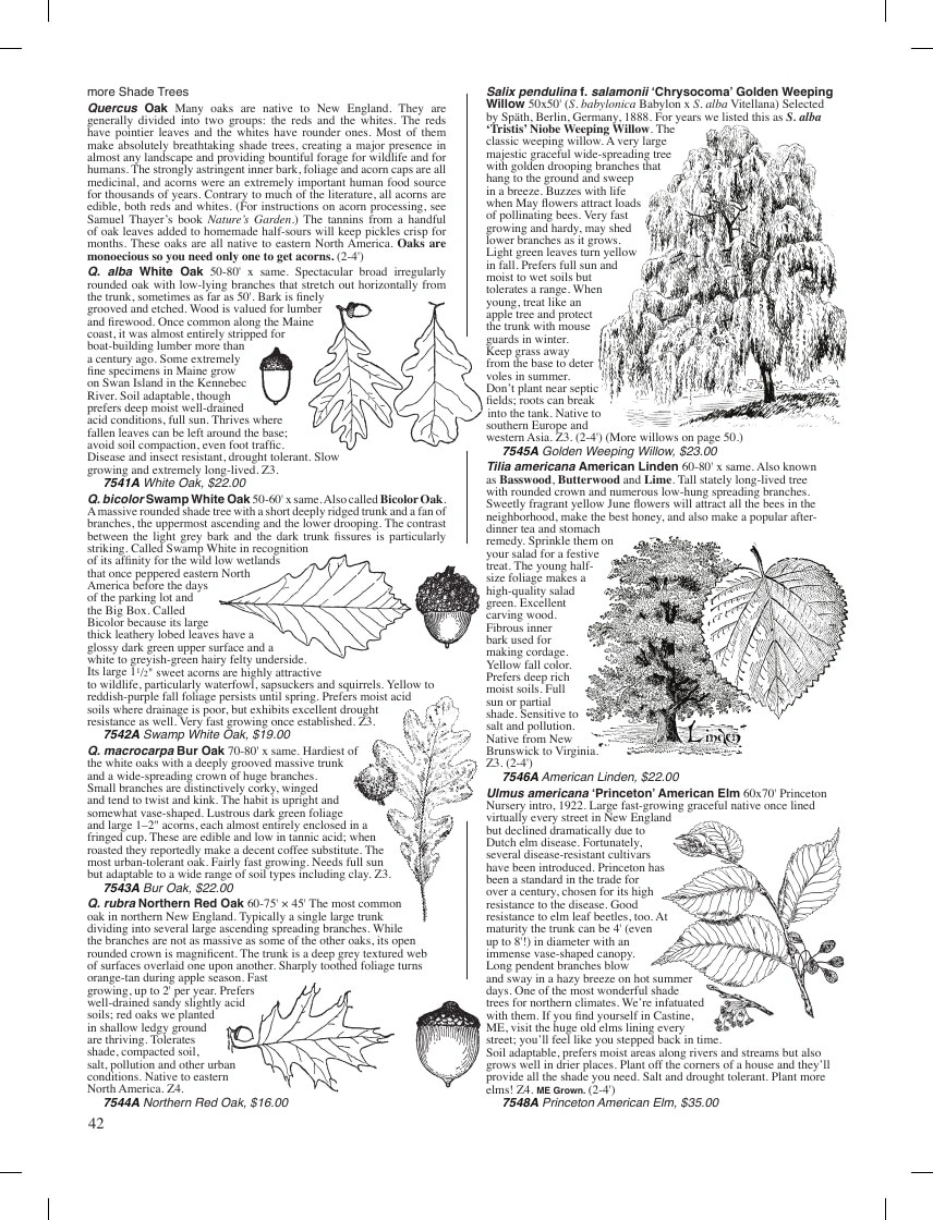 Fedco Seeds flyer page 42