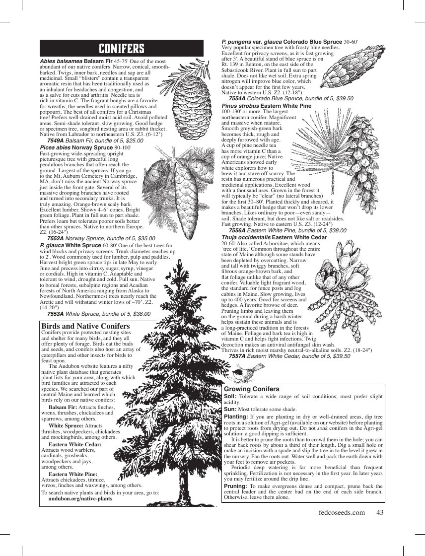 Fedco Seeds flyer page 43