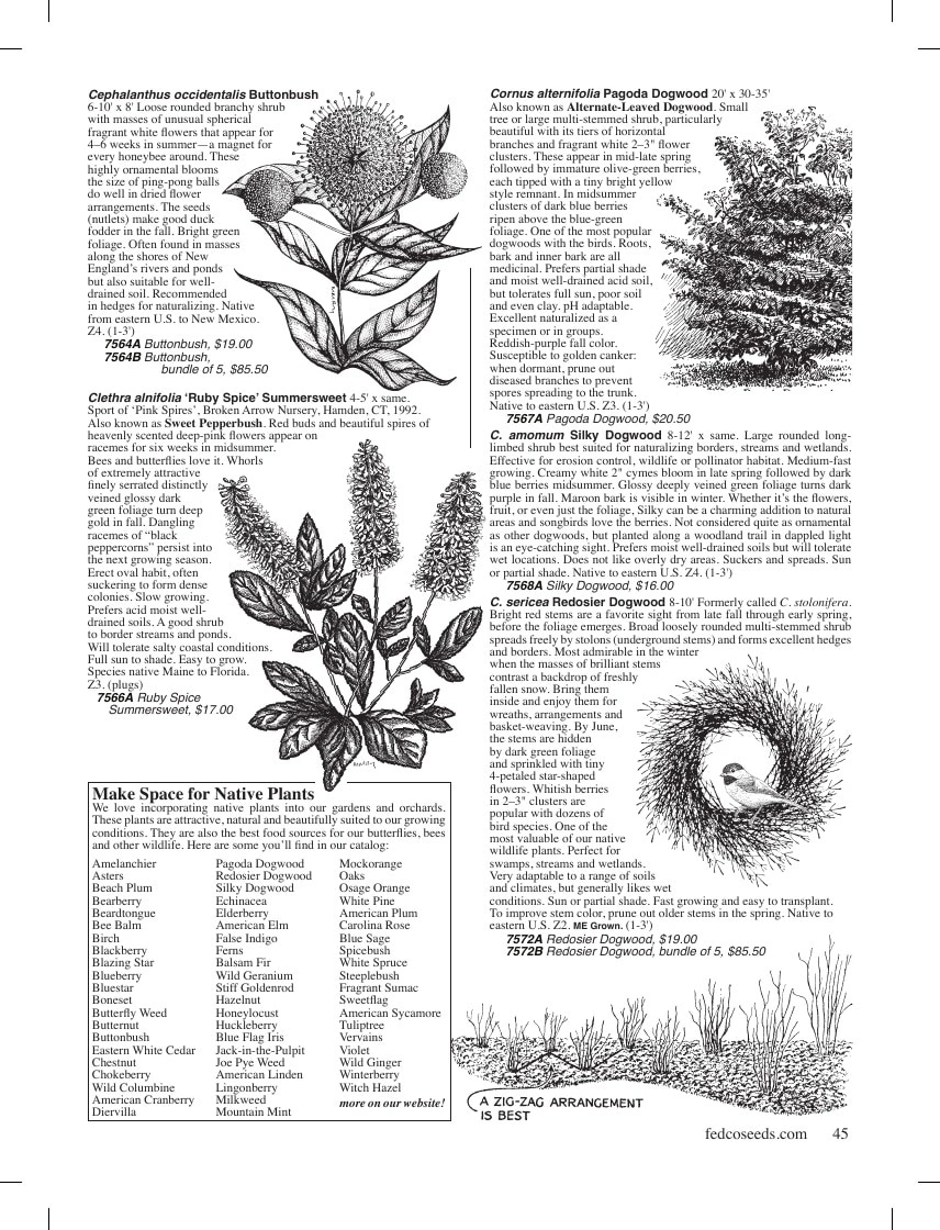 Fedco Seeds flyer page 45