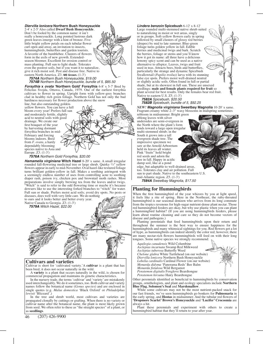 Fedco Seeds flyer page 46