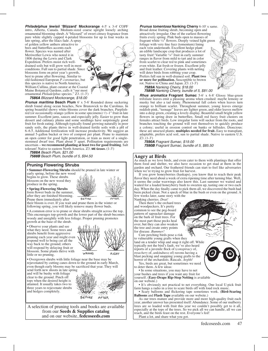 Fedco Seeds flyer page 47