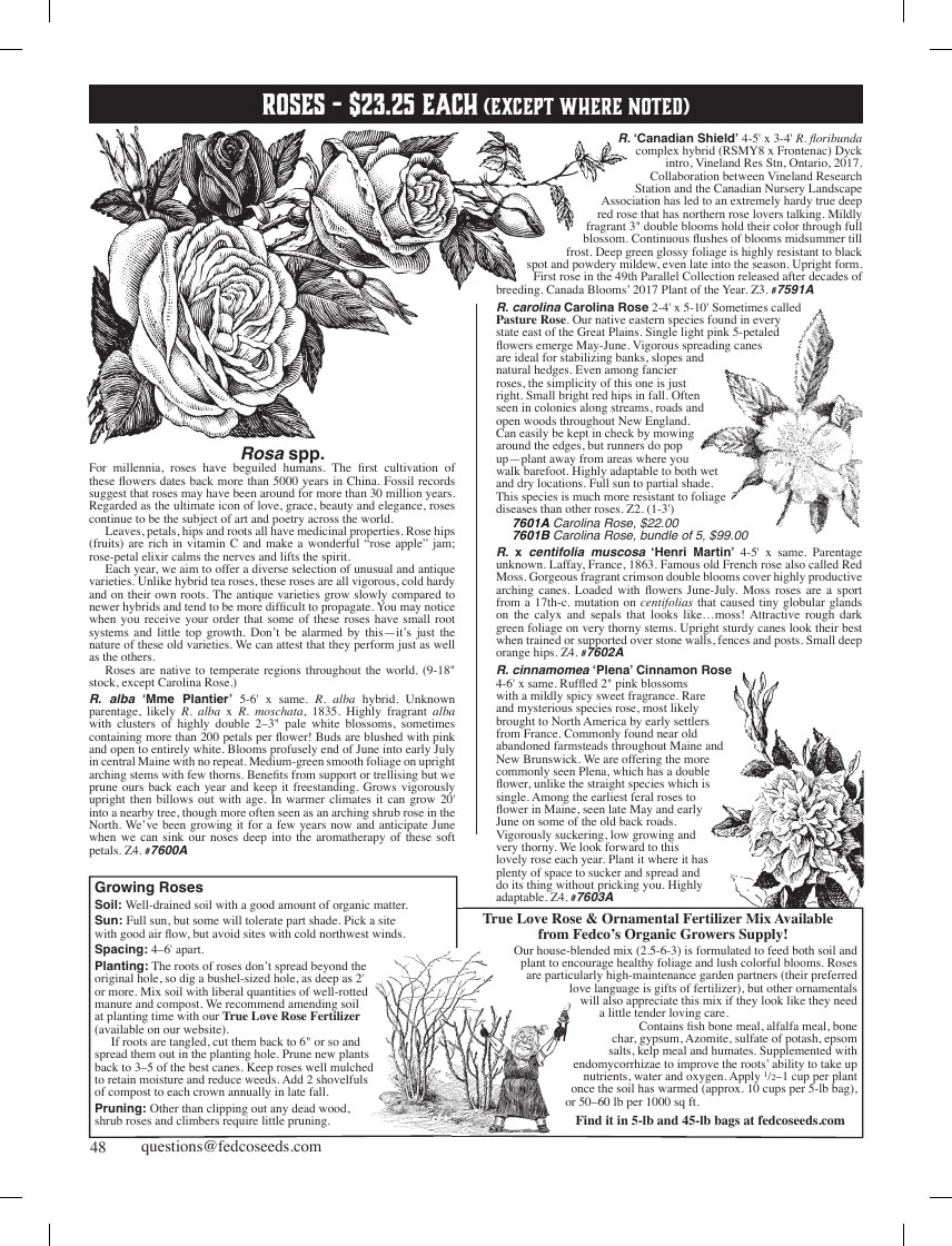 Fedco Seeds flyer page 48