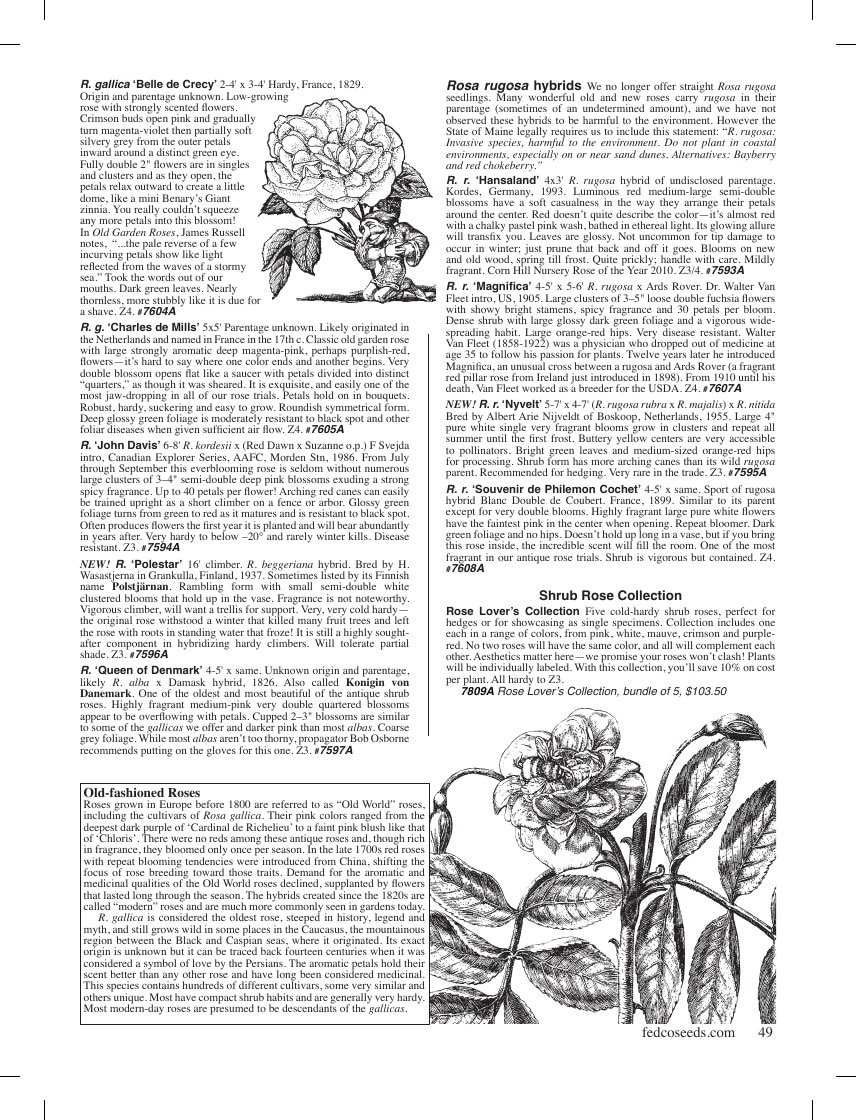 Fedco Seeds flyer page 49