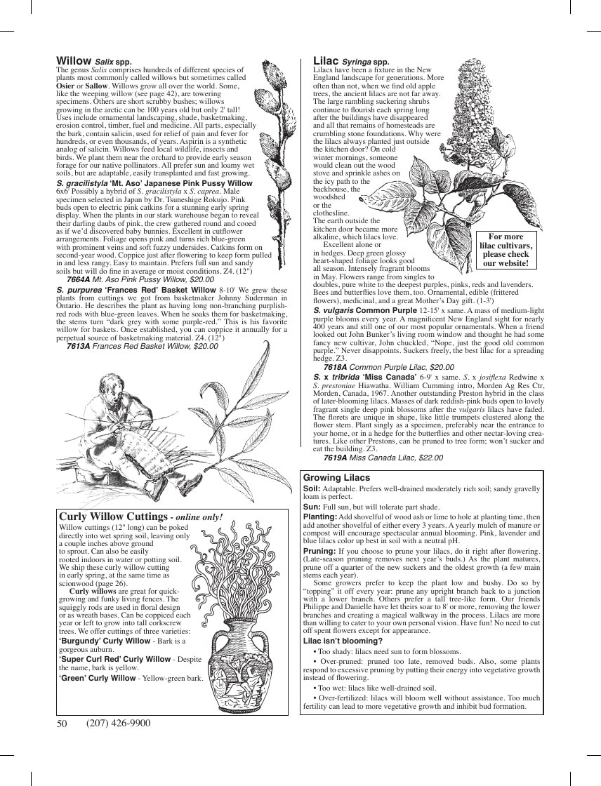 Fedco Seeds flyer page 50