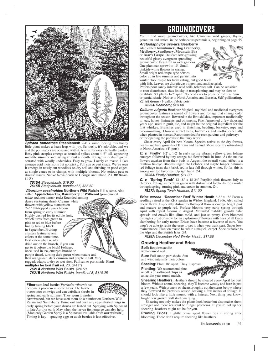 Fedco Seeds flyer page 51