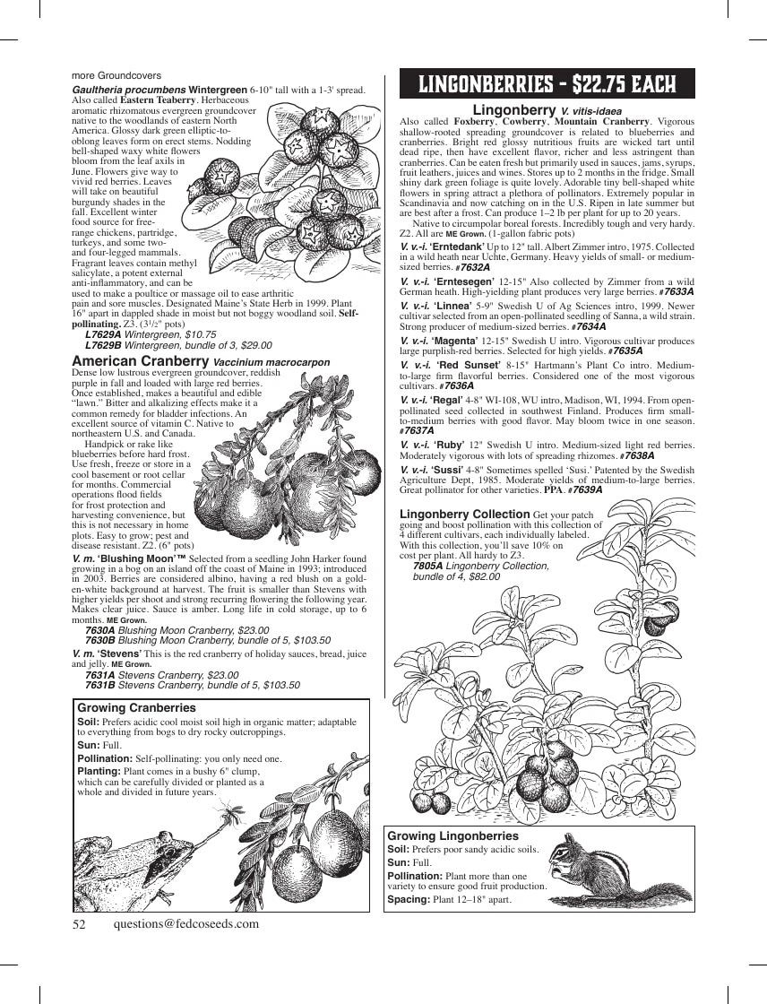 Fedco Seeds flyer page 52
