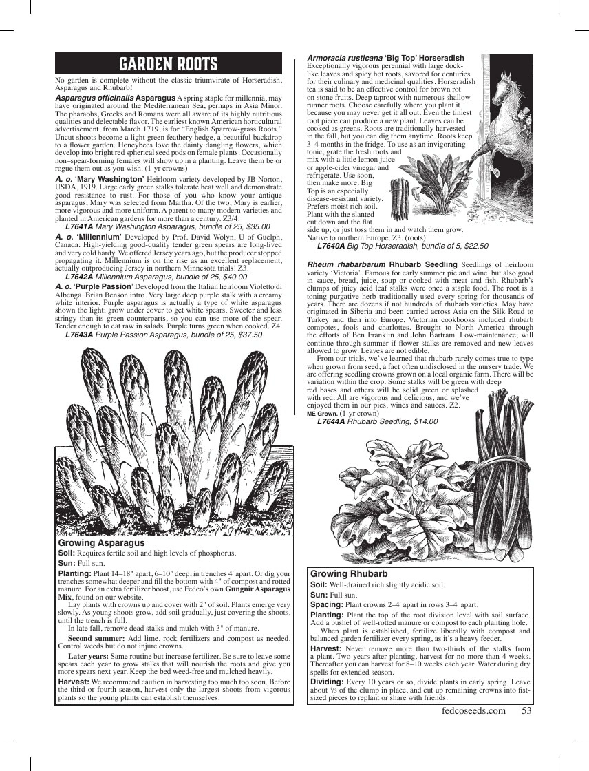 Fedco Seeds flyer page 53