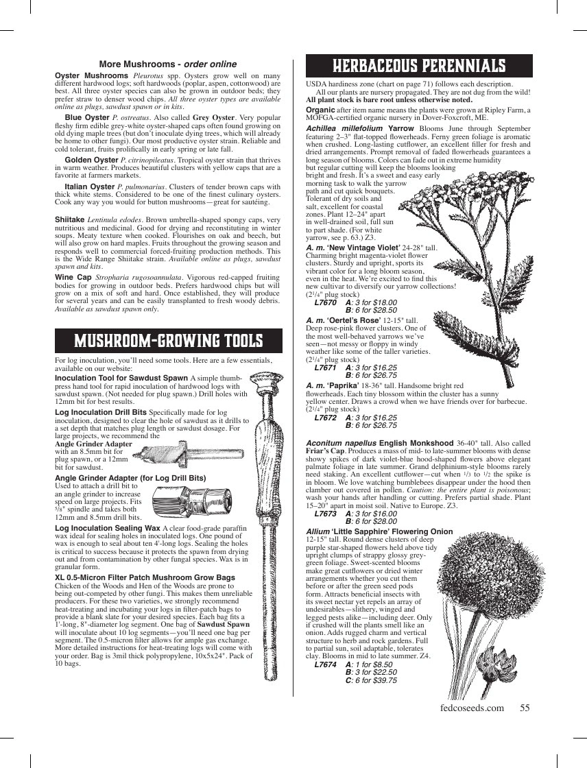 Fedco Seeds flyer page 55