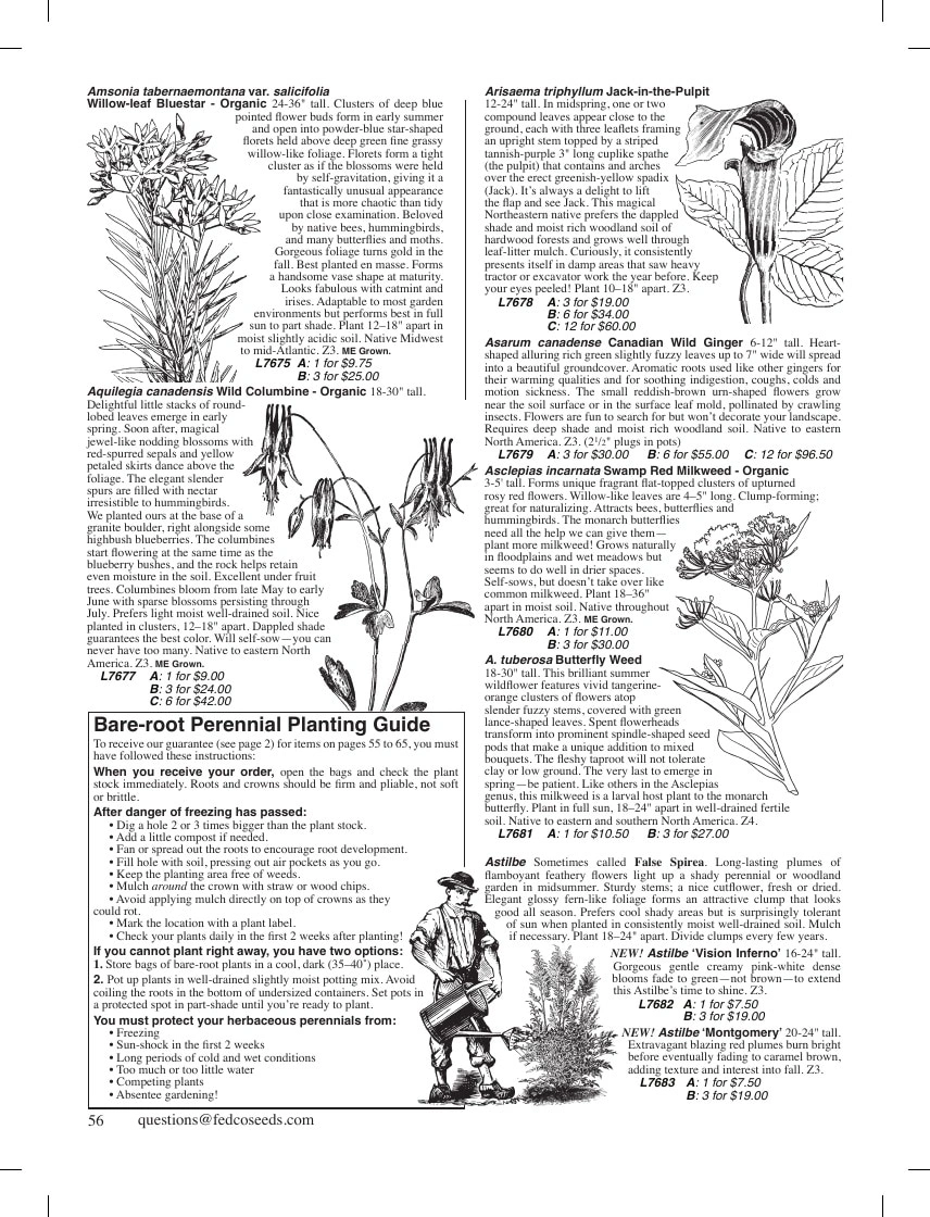 Fedco Seeds flyer page 56