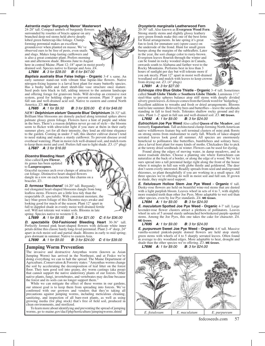 Fedco Seeds flyer page 57